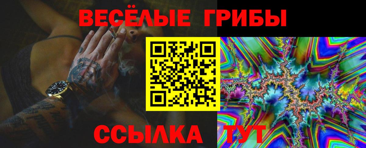 Галлюциногенные грибы Psilocybine cubensis  Вход с VPN  Галлюциногенные грибы MAGIC MUSHROOMS  Нерюнгри 